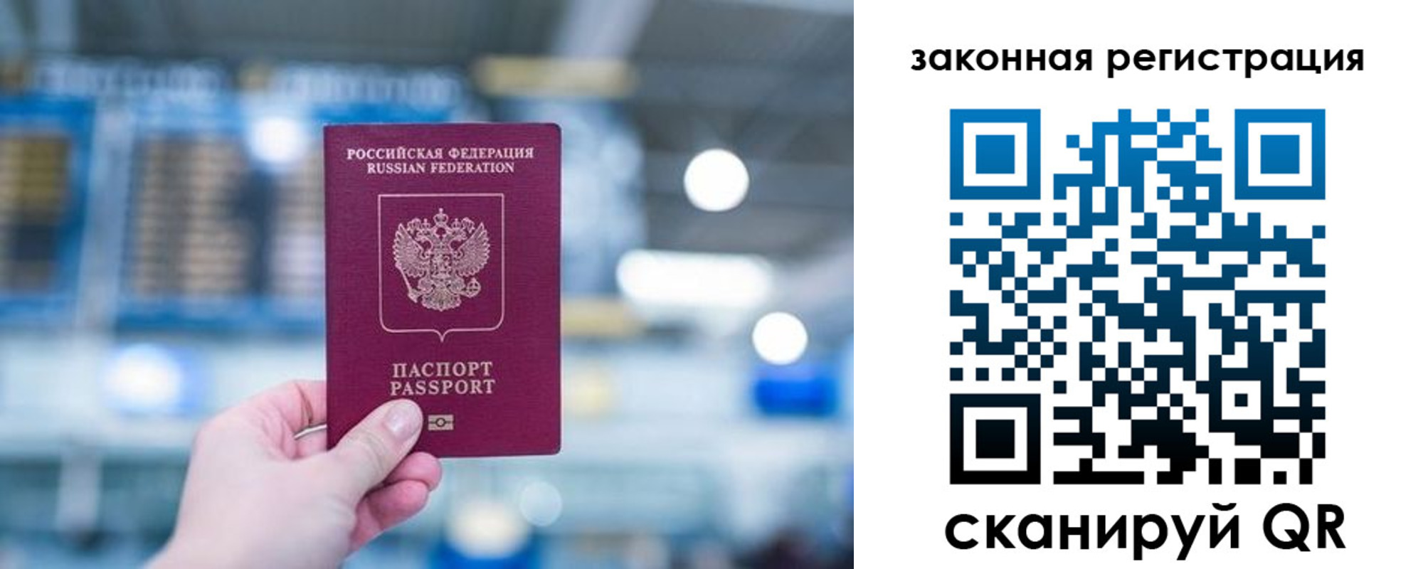 прописка поиск в Ельце